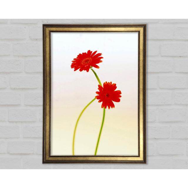 Twin Red Daisies - Print Latitude Run Size: 84.1cm H x 59.7cm W x 1.5cm D on Productcaster.