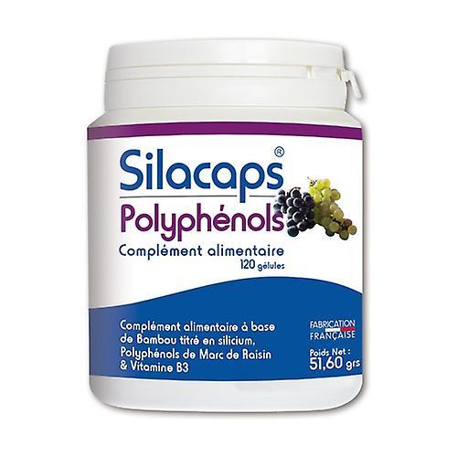 Labo Sante Silice Silacaps polyphenols 120 capsules on Productcaster.