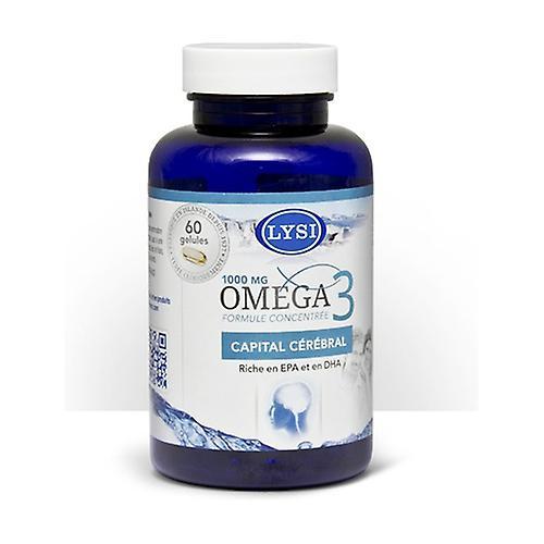 Lysi Omega 3 Brain capital 60 softgels on Productcaster.