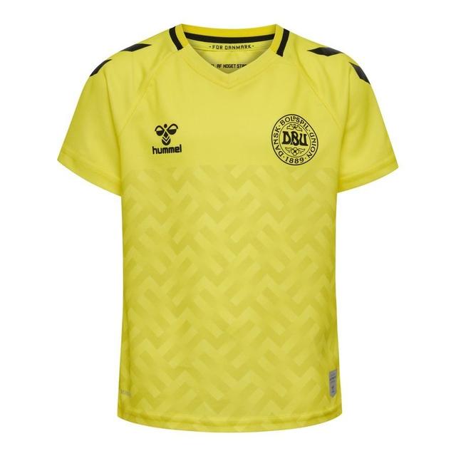 Denmark Goalkeeper Shirt 2023/24 Kids - , size 164 cm on Productcaster.