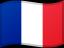 The flag of France