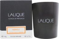 Lalique Candle 190g - Neroli Casablanca on Productcaster.