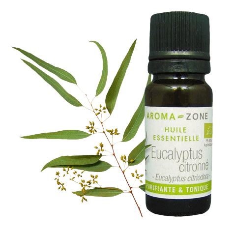 Olio essenziale di eucalipto citronato bio 100 ml | Aroma Zone on Productcaster.