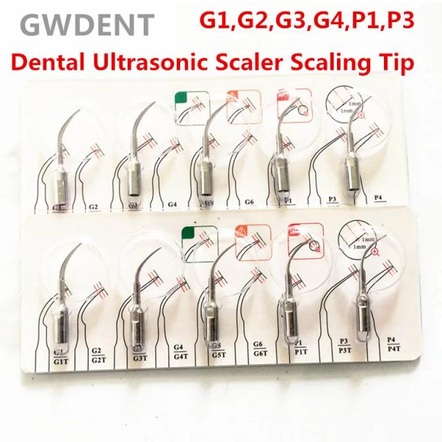 5pcs G1,G2,G3,G4,P1,P3 P4 Dental Scaler Tips Fit EMS Woodpecker Ultrasonic Scaler Handpiece Dental Ultrasonic Scaler Scaling Tip on Productcaster.