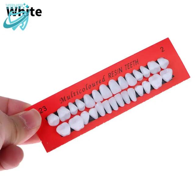 28Pcs/Set Universal Resin False Teeth Resin Teeth Model Durable Dentures Dental Material Teeth Teaching Model Dedicated Teeth on Productcaster.