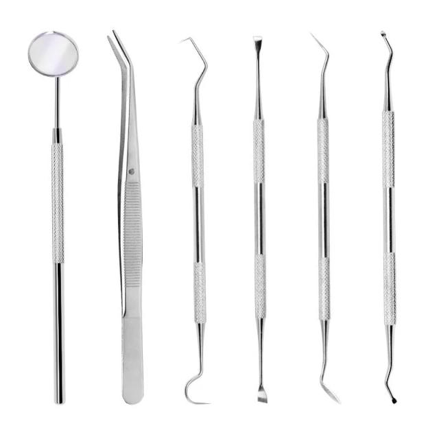 Stainless Steel Dental Tools Oral Care Set Endoscope Teeth Removal Endoscope Teeth Removal Calculus Removal Tartar Bag on Productcaster.