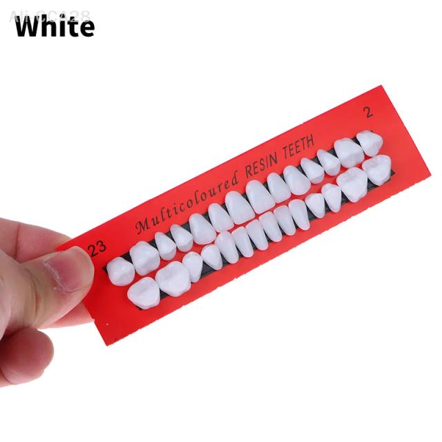 28Pcs/Set Universal Resin False Teeth Resin Teeth Model Durable Dentures Dental Material Teeth Teaching Model Dedicated Teeth on Productcaster.