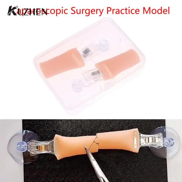 Laparoscopic Surgery Simulation Intestinal Anastomosis Training Modules Intestine Bowel Suture Practice Model on Productcaster.