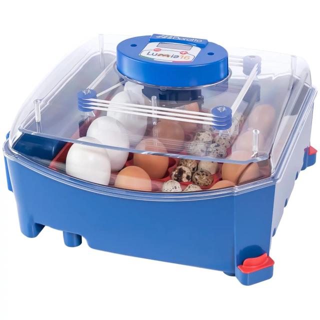 Incubator 16 Eggs Fully Automatic Antimicrobial Biomaster Protection - Chicken Incubators by Borotto on Productcaster.