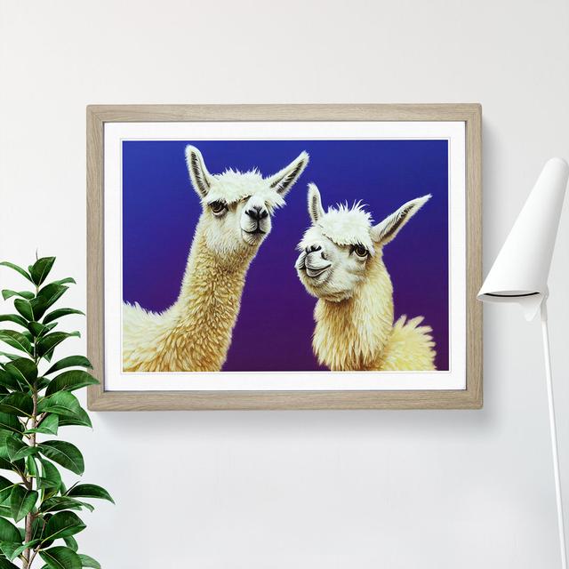 Thrilling Llamas - Picture Frame Graphic Art Latitude Vive Frame Colour: Oak Framed, Size: 25cm H x 34cm W x 2cm D on Productcaster.