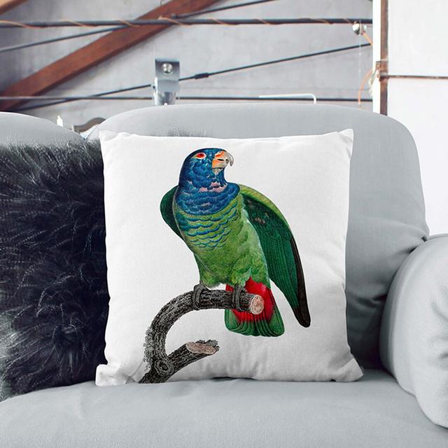 Blue-Headed Parrot Square Throw Cushion East Urban Home Size: 40cm H x 40cm W x 15cm D on Productcaster.