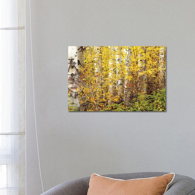 Hiding by Janel Pahl - Wrapped Canvas Print Alpen Home Size: 45.72cm H x 66.04cm W x 3.81cm D on Productcaster.