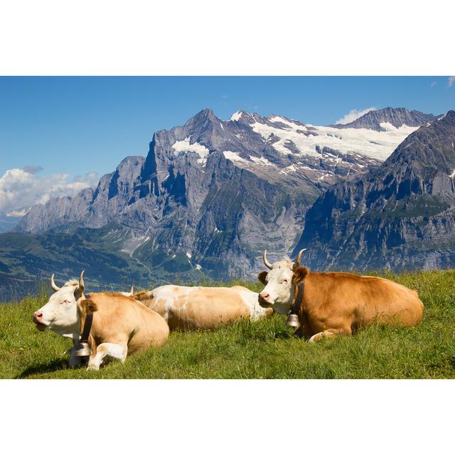 Swiss Cow by Swisshippo - Wrapped Canvas Photograph Brambly Cottage Size: 81cm H x 122cm W on Productcaster.