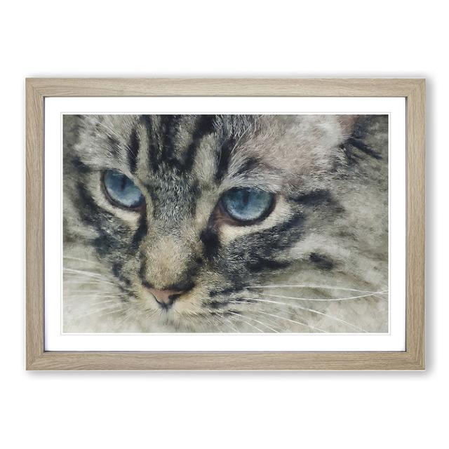 Portrait of a Cat Vol.14 - Picture Frame Painting East Urban Home Size: 27cm H x 36cm W x 2cm D, Frame Option: Oak Framed on Productcaster.