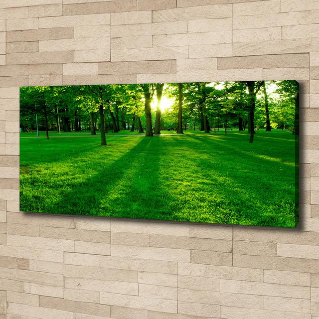 Grass in the Park - Wrapped Canvas Art Prints Union Rustic on Productcaster.