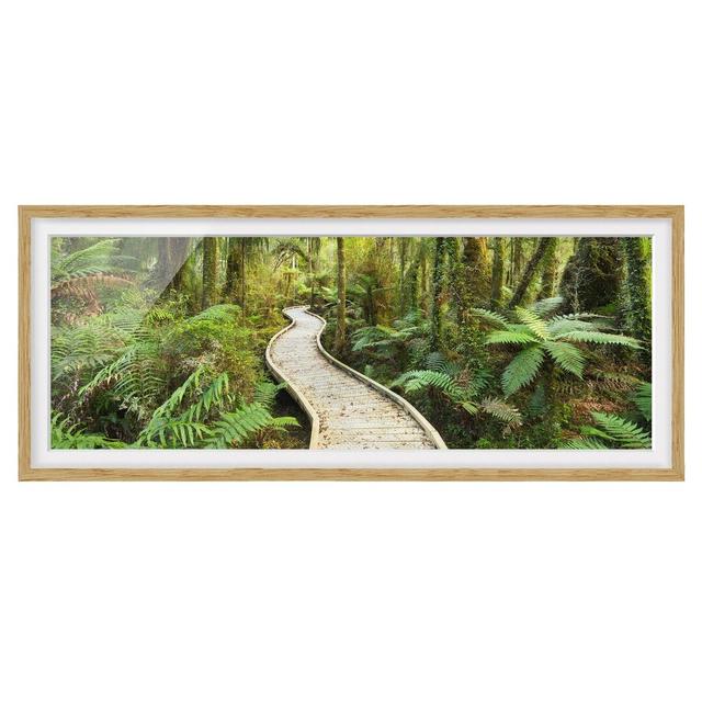 Path in the Jungle - Picture Frame Photograph Union Rustic Frame Option: Brown Framed, Size: 20cm H x 50cm W x 2cm D on Productcaster.