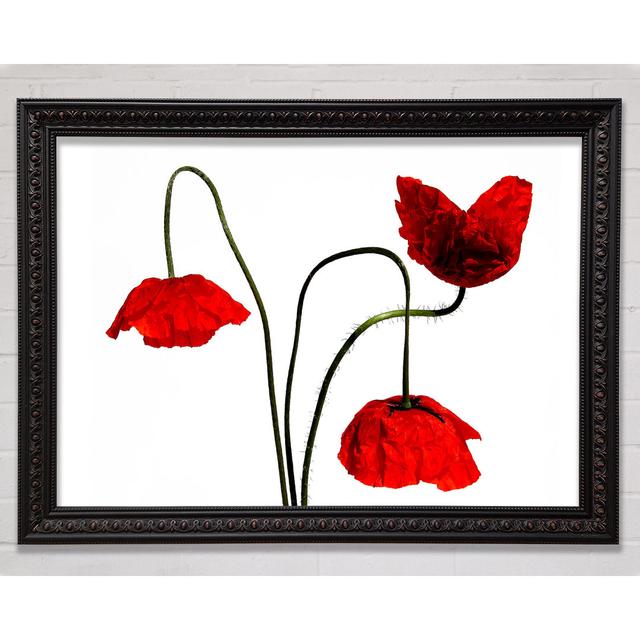 Stunning Trio Of Poppys - Single Picture Frame Art Prints Bright Star Size: 84.1cm H x 118.9cm W on Productcaster.