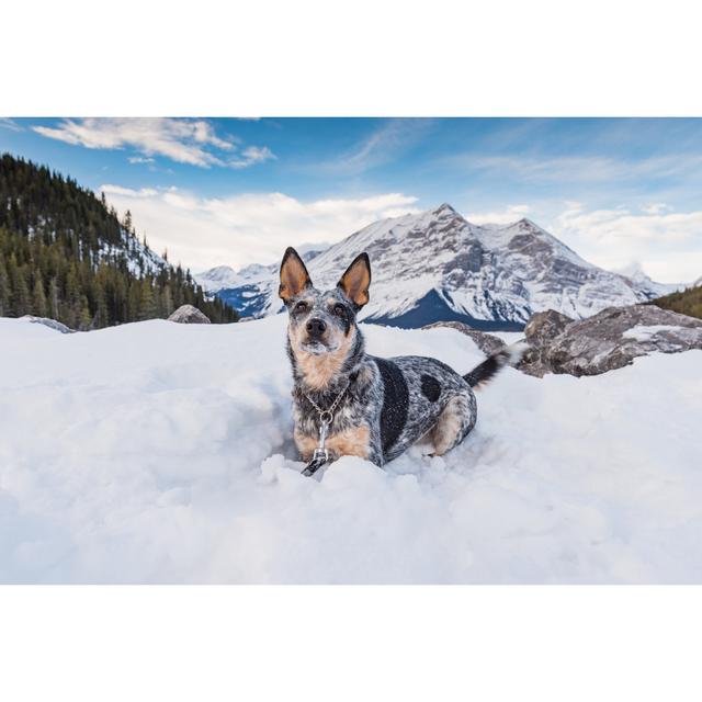 Encino Winter In The Mountains - Print Alpen Home Size: 20cm H x 30cm W x 3.8cm D on Productcaster.