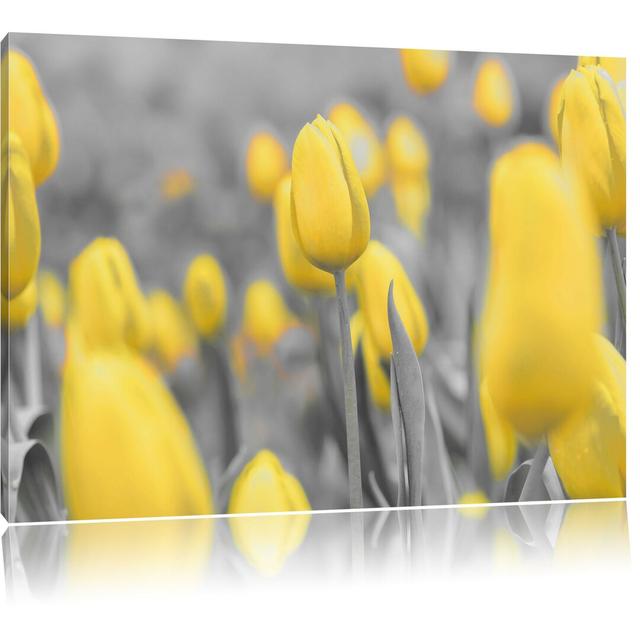 Leinwandbild Gelbes Tulpenmeer East Urban Home Größe: 80 cm H x 120 cm B on Productcaster.