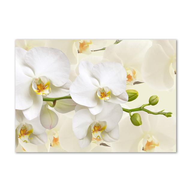 Orchidee - Ungerahmte Kunstdrucke auf Leinwand Ophelia & Co. on Productcaster.