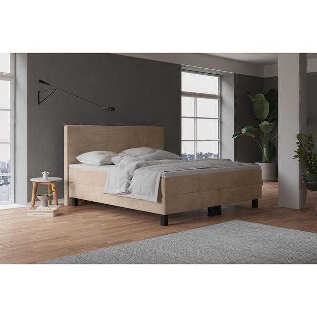 Echtes Boxspringbett Harward mit Taschenfederkernmatratze, mit Samtstoff bezogen Fairmont Park Farbe: Dunkles Beige, Topper: Topper aus Viskoseschaum, on Productcaster.