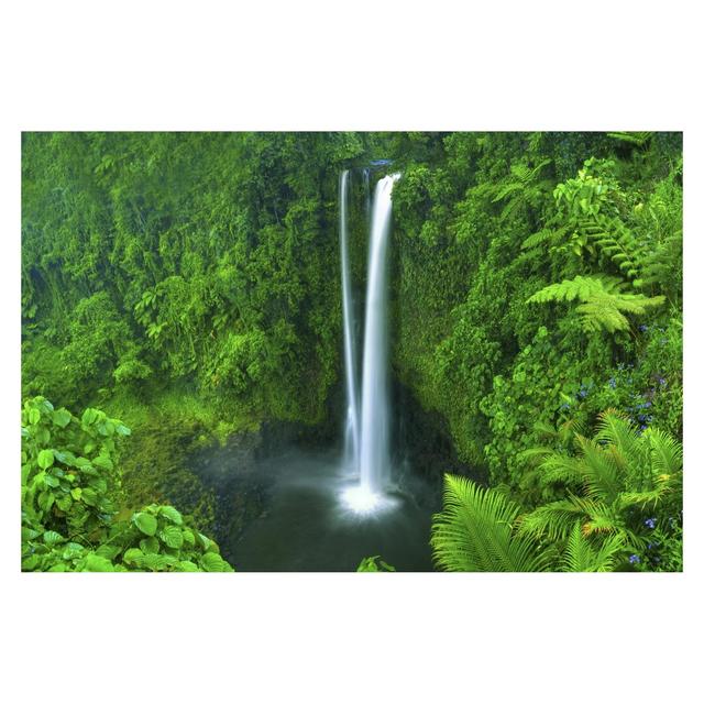 Waterfall Paradise 2.25m x 3.36m Textured Matt Peel & Stick Wall Mural East Urban Home Size: 2.9m x 4.32m on Productcaster.