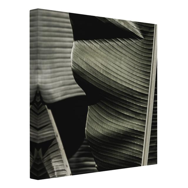 Close-Up of a Banana Leaf - Wrapped Canvas Art Prints Bay Isle Home Format: 260g/m² Canvas, Colour: Dark Green, Size: 80cm H x 80cm W on Productcaster.