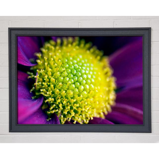 Single Picture Frame Art Prints Ebern Designs Size: 59.7cm H x 84.1cm W on Productcaster.