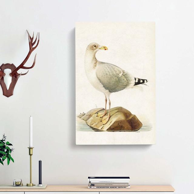 European Herring Gull by Von Wright - Wrapped Canvas Painting East Urban Home Size: 60cm H x 40cm W x 3cm D on Productcaster.