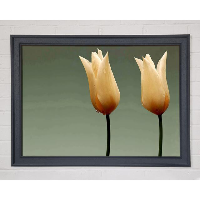 Single Picture Frame Art Prints Ebern Designs Size: 29.7cm H x 42cm W on Productcaster.