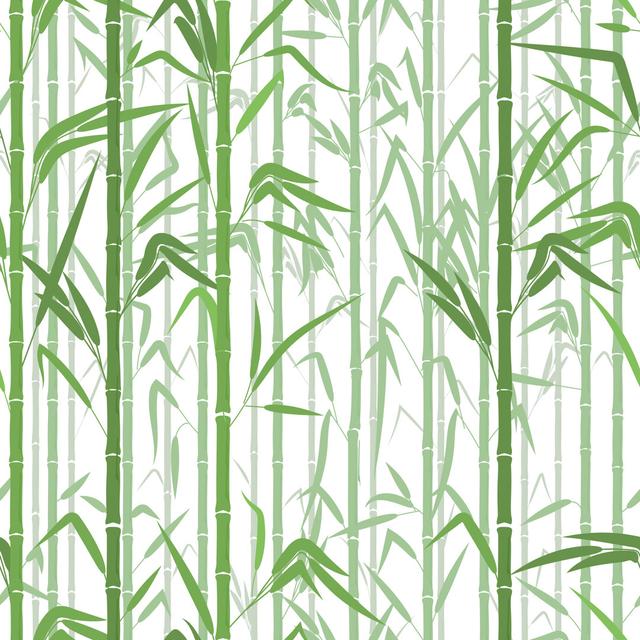 Bamboo Forest by Tatyana Lukina - Wrapped Canvas Graphic Art 17 Stories Size: 30cm H x 30cm W on Productcaster.