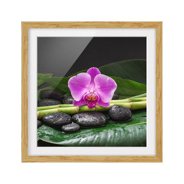 Green Bamboo with Orchid Flower - Picture Frame Graphic Art Bloomsbury Market Frame Option: Brown, Size: 50cm H x 50cm W x 2cm D on Productcaster.