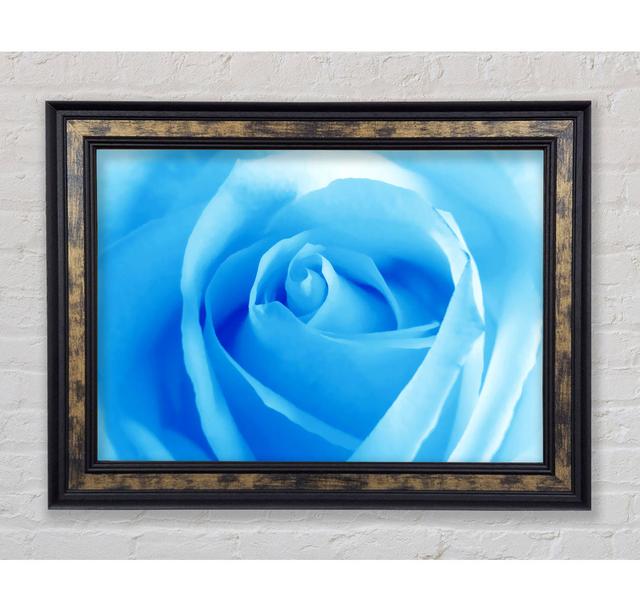 Baby Blue Rose - Einzelner Bilderrahmen Kunstdrucke Bright Star Größe: 42 cm H x 59,7 cm B x 8 cm T on Productcaster.