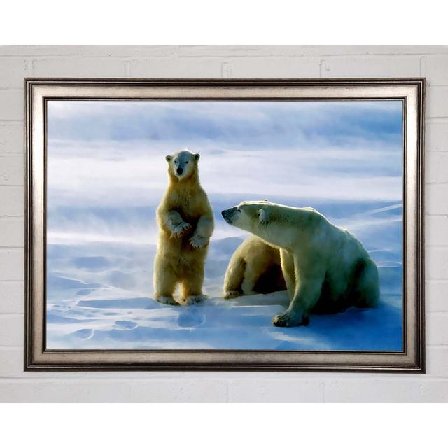 Familie der Eisbären Gerahmter Druck Haus am Meer Größe: 59,7 cm H x 84,1 cm B x 1,5 cm T, Format: Poster mit Naturholz-Rahmen on Productcaster.