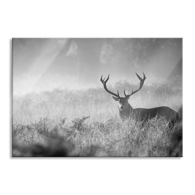 Red Deer In The Fog - No Frame Print on Glass Union Rustic Size: 60cm H x 80cm W x 0.4cm D on Productcaster.