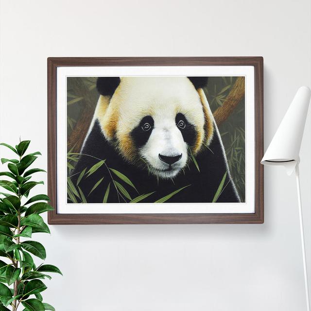 Masterful Panda - Single Picture Frame Print 17 Stories Size: 25cm H x 34cm W x 2cm D, Frame Colour: Walnut Framed on Productcaster.