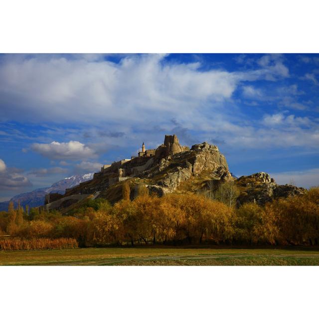 Hawarden Van, Turkey by Trots1905 - No Frame Print on Canvas Alpen Home Size: 81cm H x 122cm W x 3.8cm D on Productcaster.