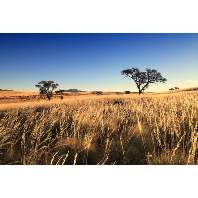 Grassland Landscape by AfricaImages - No Frame Art Prints on Canvas 17 Stories Size: 51cm H x 76cm W on Productcaster.