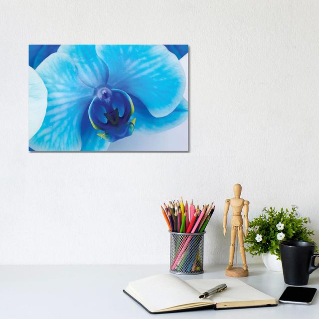 Blue Orchid I by Glauco Meneghelli - Photograph on Canvas Ebern Designs Format: Wrapped Canvas, Size: 30.48cm H x 20.32cm W x 1.9cm D on Productcaster.