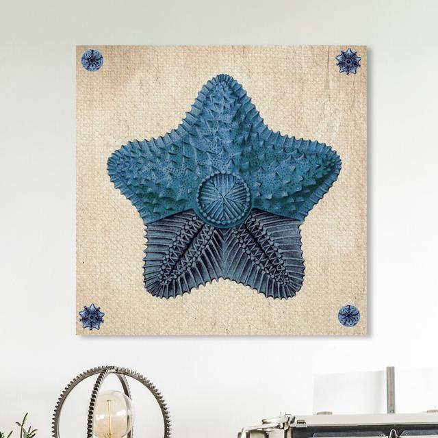 'Asteridea Ii' Graphic Art on Wrapped Canvas East Urban Home Size: 109.2 cm H x 109.2 cm W x 3.8 cm D on Productcaster.