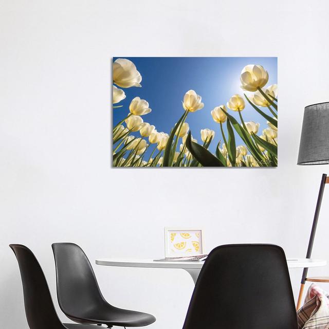 Look Up In White by Martin Podt - Wrapped Canvas Print Latitude Run Size: 66.04cm H x 101.6cm W x 1.91cm D on Productcaster.