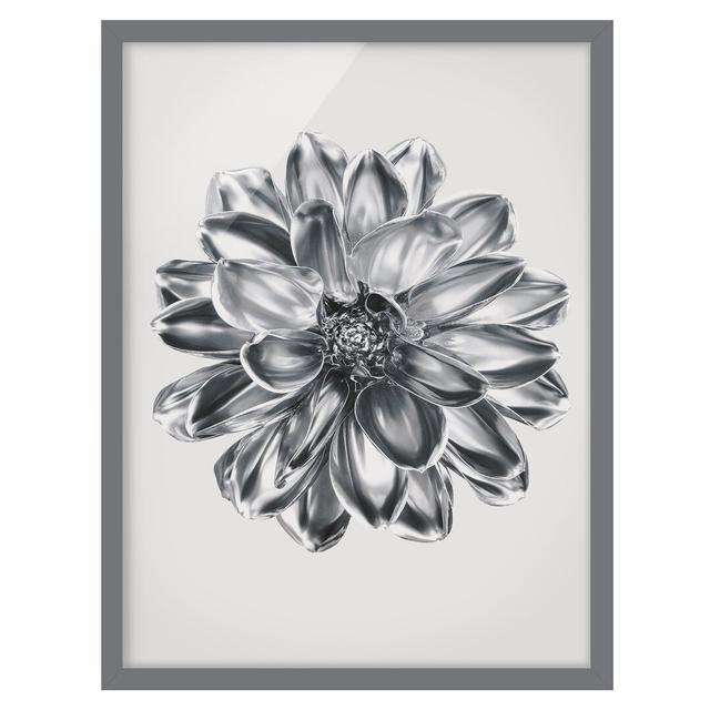 Dahlia Flower Silver Metallic - Picture Frame Graphic Art Ebern Designs Size: 100cm H x 70cm W x 2cm D, Frame Option: Grey Framed on Productcaster.