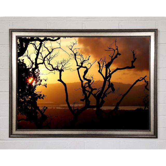 Caramel Tree Morning - Single Picture Frame Art Prints Ebern Designs Size: 42cm H x 59.7cm W on Productcaster.