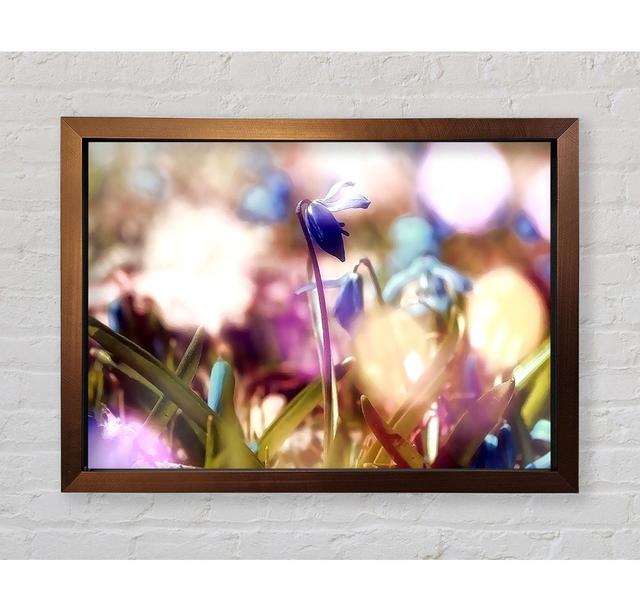 Soft Purples in the Garden - Single Picture Frame Art Prints Bright Star Size: 84.1cm H x 118.9cm W x 3.4cm D on Productcaster.