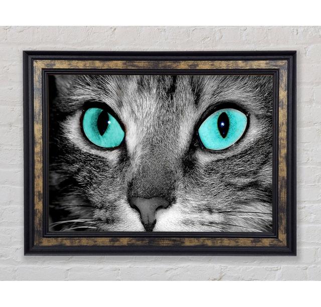 Close Up Of A Grey Tabby Cat Face - Single Picture Frame Art Prints Ebern Designs Size: 21cm H x 42cm W x 8cm D on Productcaster.