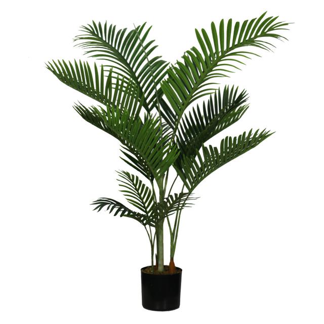 KENTIA PLANT The Seasonal Aisle on Productcaster.