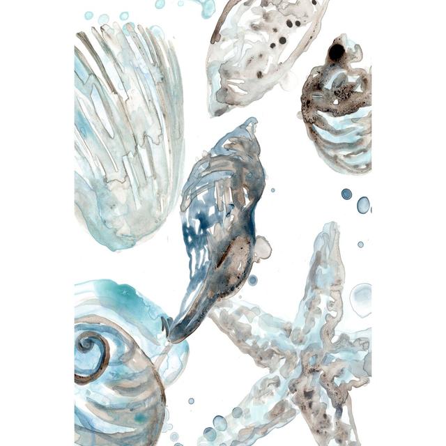 Cerulean Seashells III by June Erica Vess - Print Highland Dunes Size: 76cm H x 51cm W on Productcaster.