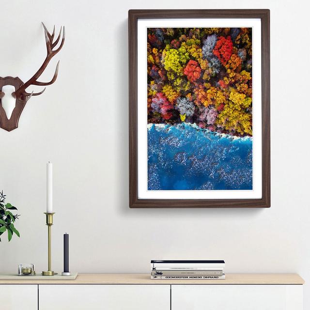 Forest View - Picture Frame Graphic Art Print East Urban Home Size: 36cm H x 27cm W x 2cm D, Frame Option: Walnut Framed on Productcaster.