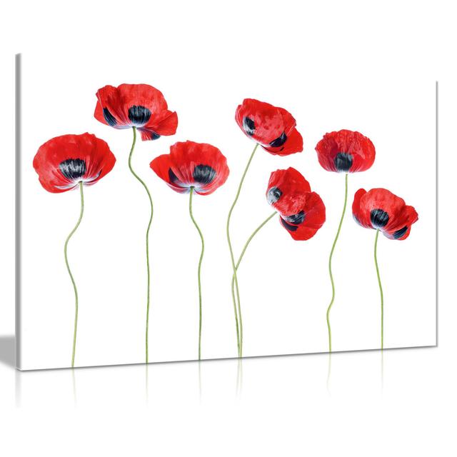 Crimson Red Ladybird Poppy Flowers - Wrapped Canvas Painting Panther Print Size: 41cm H x 61cm W on Productcaster.