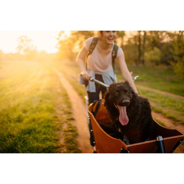 Going For A Ride With My Dog by AleksandarNakic - No Frame Art Prints on Canvas 17 Stories Size: 61cm H x 91cm W on Productcaster.